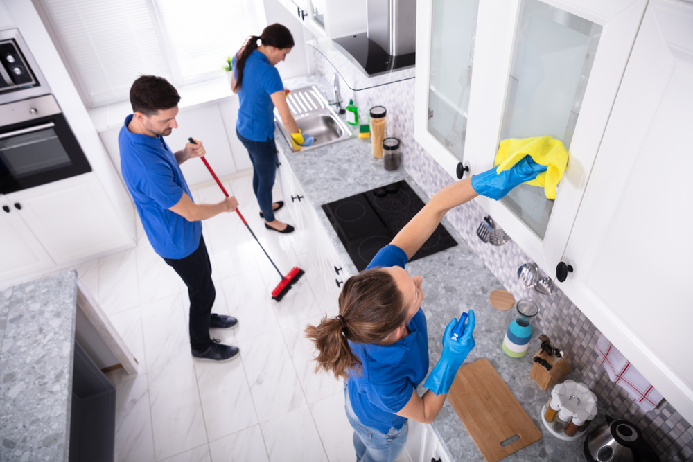 Jersey Garden Cleaning Company cleaners in Union County, NJ